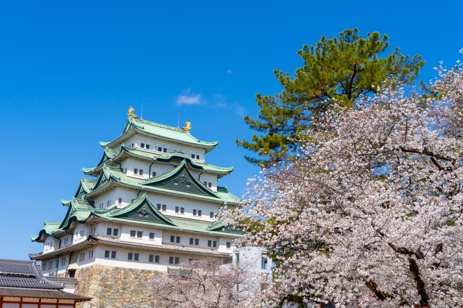 Nagoya Castle